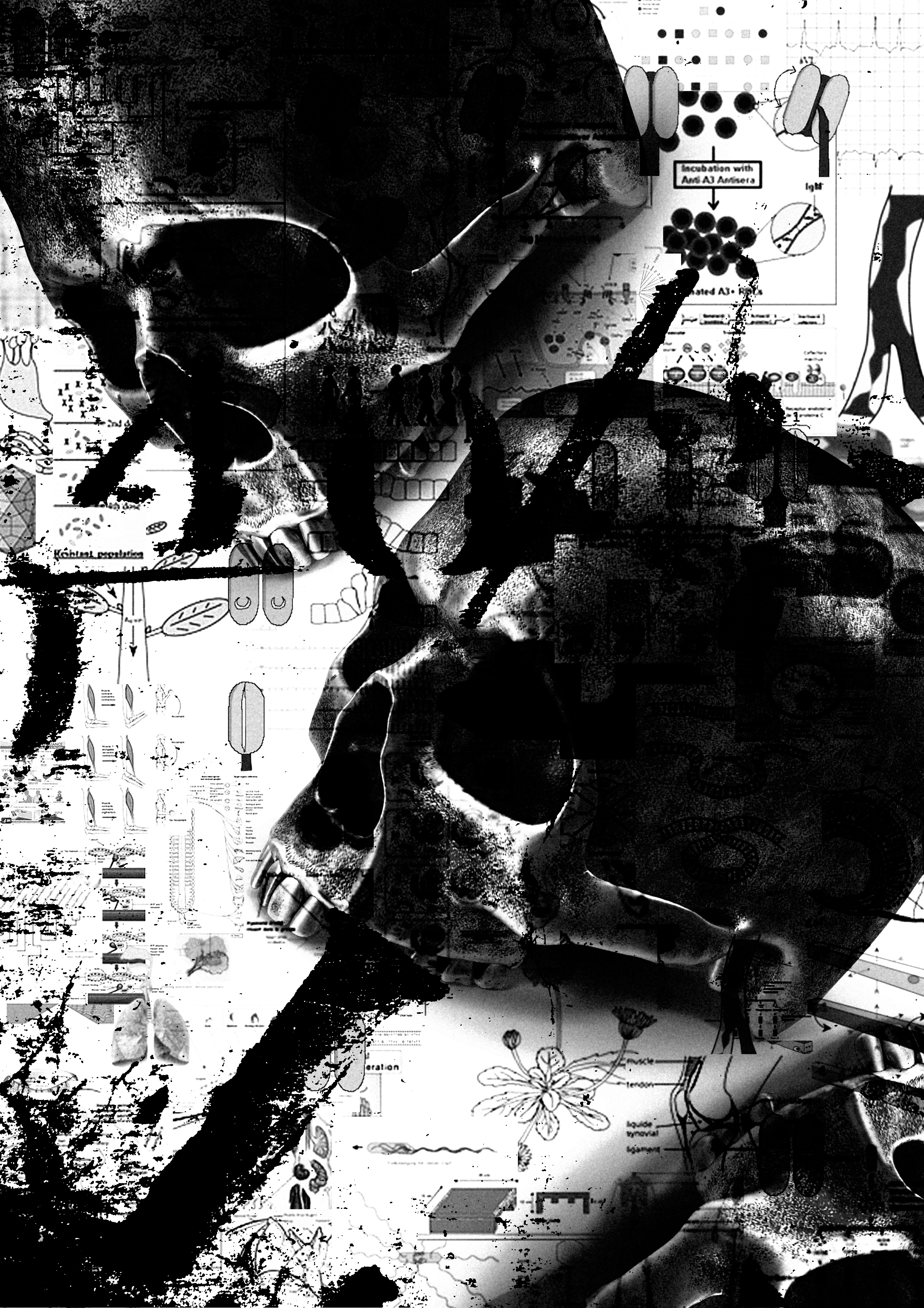 R&D design study — Scull