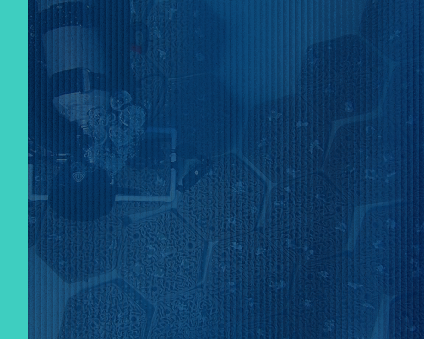 Applied identity pattern — monitoring visual system