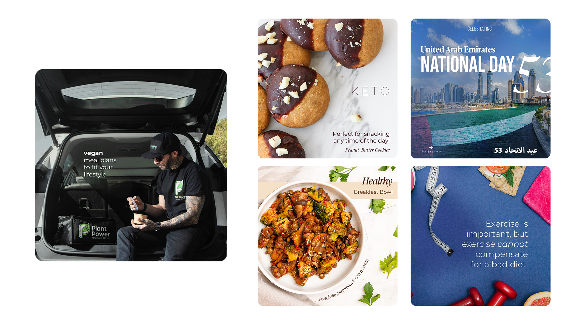 Plant Power and multi-brand content overview